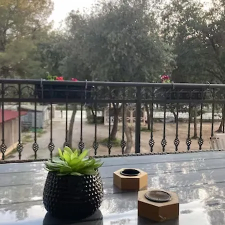 Big On The Seaside *