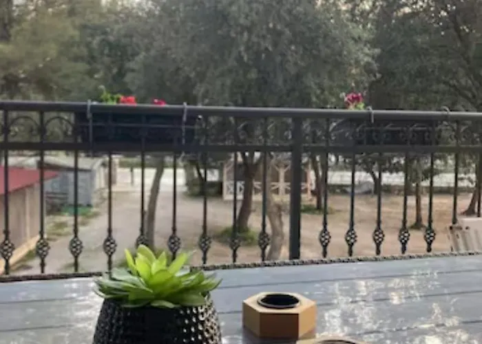 Big On The Seaside *